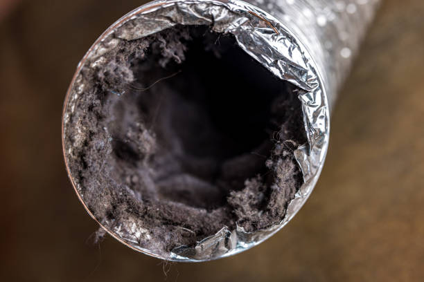 Best Air Duct Cleaning Near Me  in Euless, TX